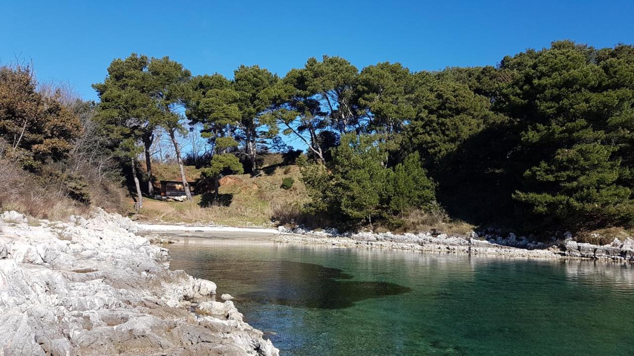 普拉Casa Matea - 90 M From The Sea, New Private Swimming Pool公寓 外观 照片