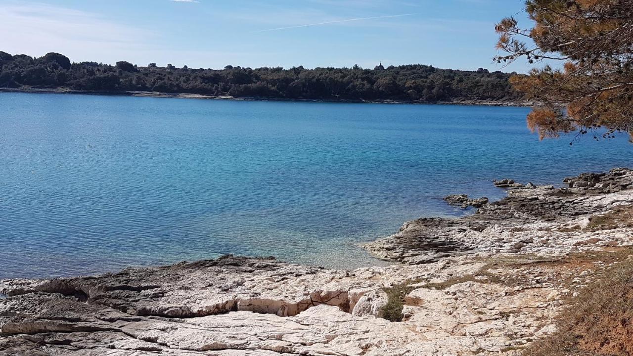 普拉Casa Matea - 90 M From The Sea, New Private Swimming Pool公寓 外观 照片